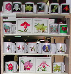 orchid display 8105a.jpg